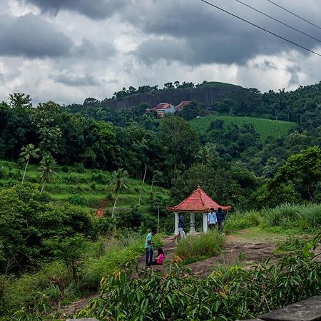 Aruvikuzhy Waterfalls Villa Kozhancheri المظهر الخارجي الصورة