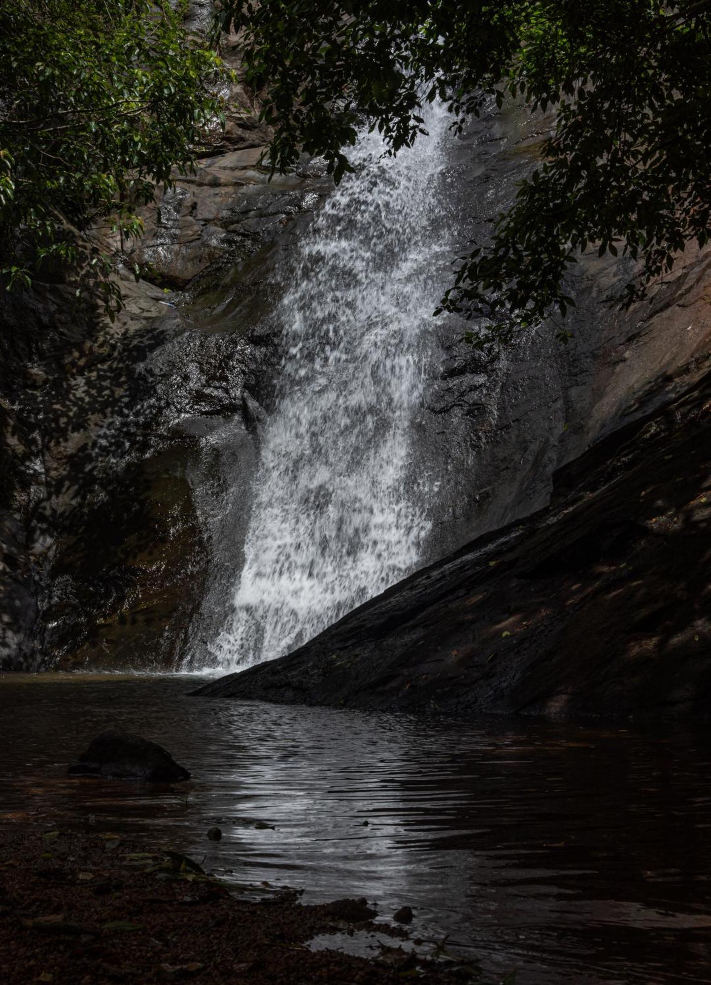 Aruvikuzhy Waterfalls Villa Kozhancheri المظهر الخارجي الصورة