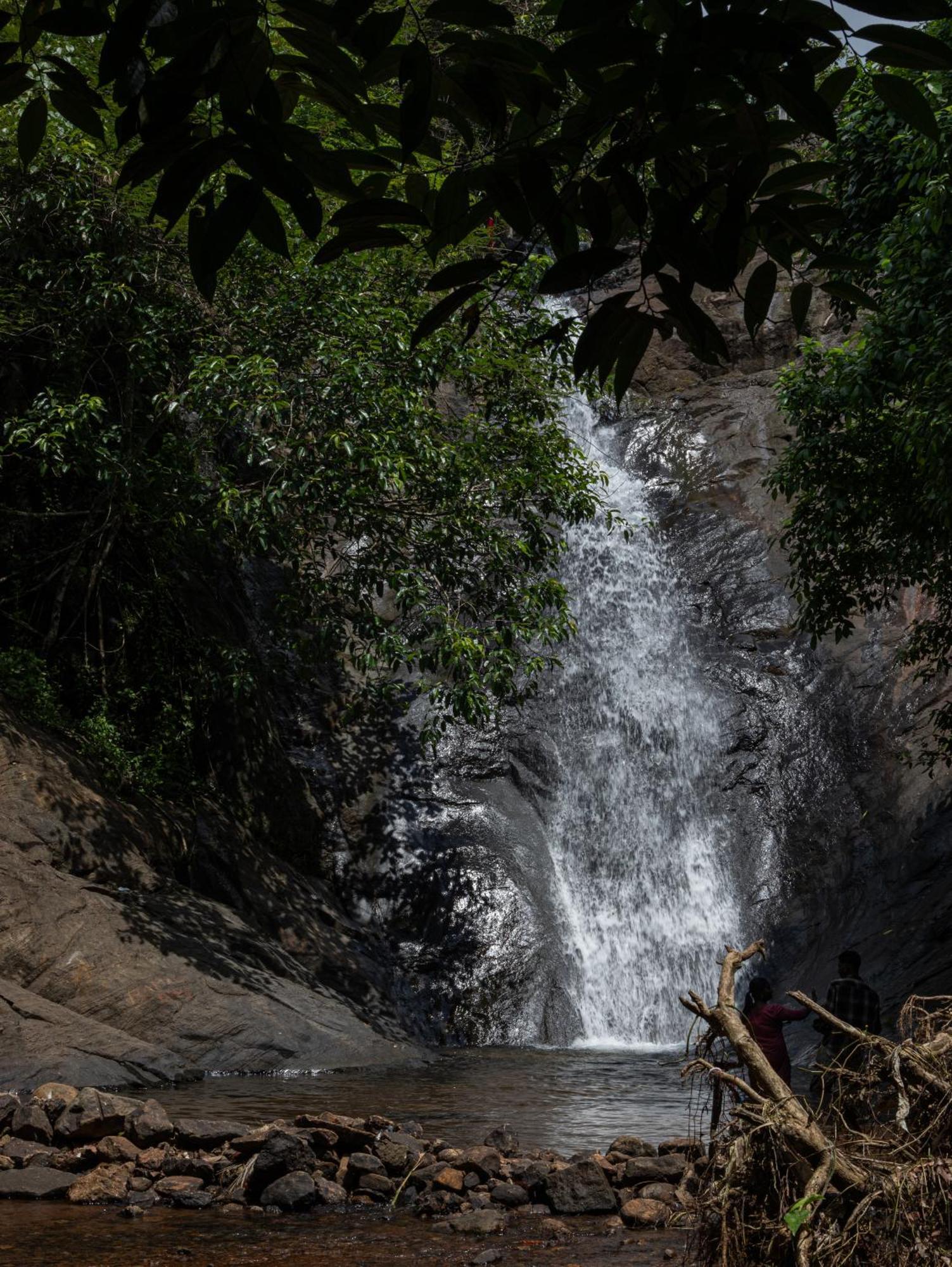 Aruvikuzhy Waterfalls Villa Kozhancheri المظهر الخارجي الصورة